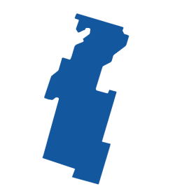 Alta Floresta Vetor Alta Floresta Vetor